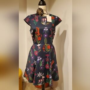 TED BAKER WOMEN'S  Cap  Sleeve A-Line Mini Dress in Navy Blue Floral Print,Size3